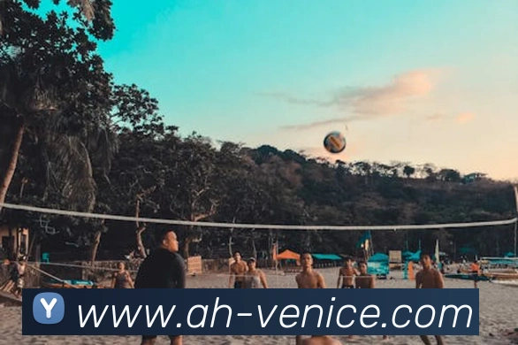 威尼斯人线上娱乐平台生态图